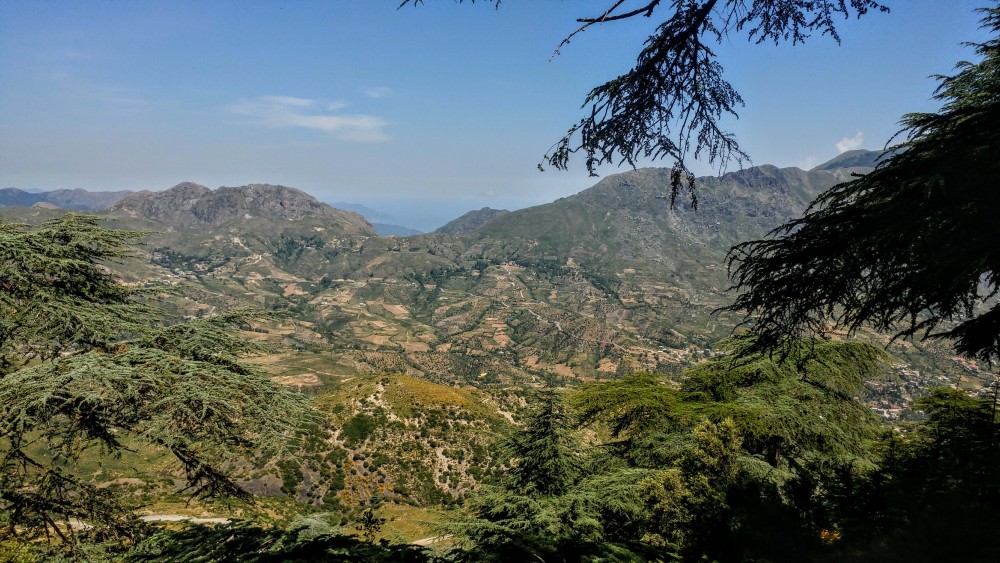 La Cedraie de Takoucht - Forêts et Natures à Béjaïa — photo 6