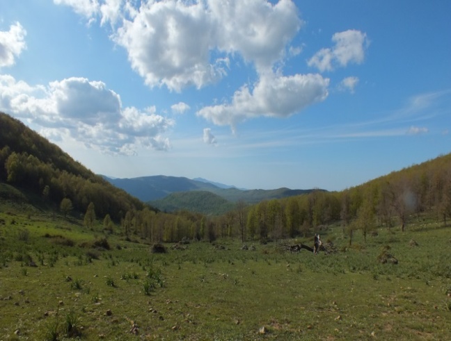 MONTAGNE DE ZEEN