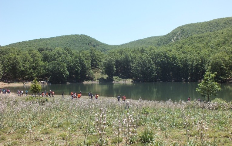 LE MASSIF FORESTIER DE L’AKFADOU - Forêts et Natures à Béjaïa — photo 3