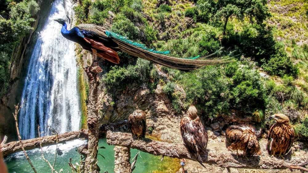 Les Cascades de Kefrida - Forêts et Natures à Béjaïa — photo 3