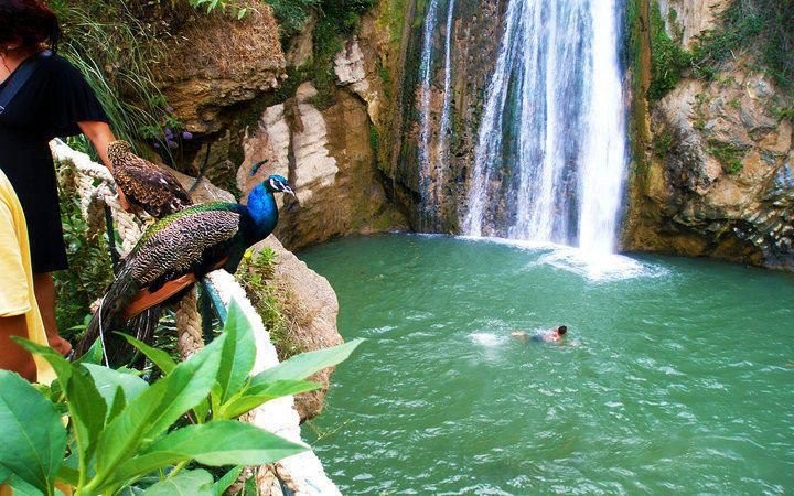 Les Cascades de Kefrida - Forêts et Natures à Béjaïa — photo 4