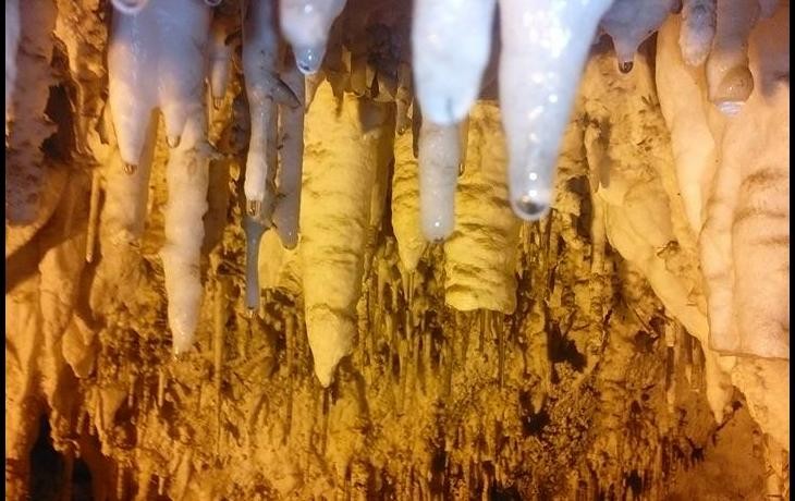 LE RESEAU DE GROTTES - Forêts et Natures à Béjaïa — photo 3