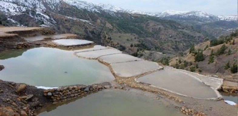 RESEAU DE SALINES - THIMELAHINES - Forêts et Natures à Béjaïa — photo 3