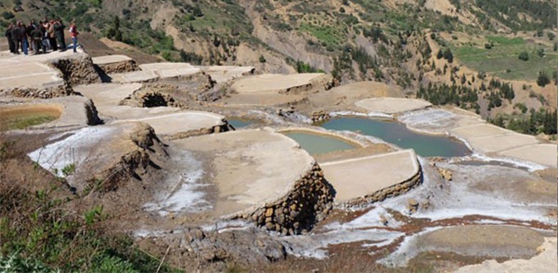 RESEAU DE SALINES - THIMELAHINES - Forêts et Natures à Béjaïa — photo 4