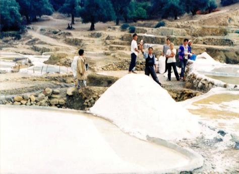 RESEAU DE SALINES - THIMELAHINES - Forêts et Natures à Béjaïa — photo 6