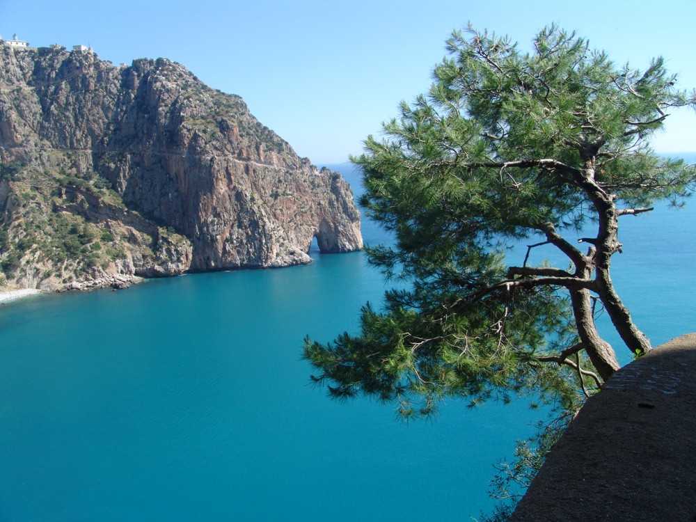 La caverne de RAYMOND LULLE - Forêts et Natures à Béjaïa — photo 3