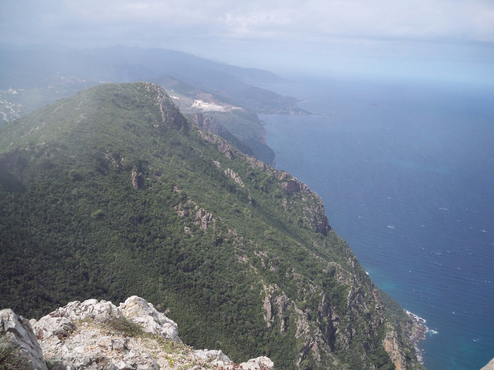 La côte ouest de Gouraya - Forêts et Natures à Béjaïa — photo 2