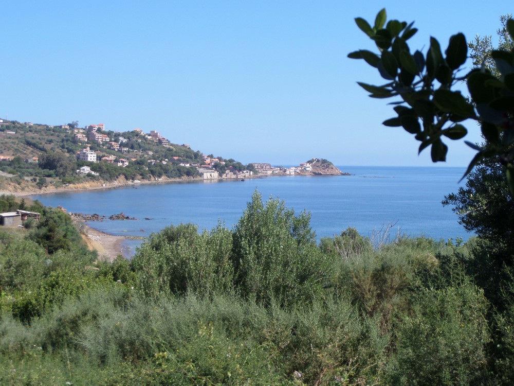 La côte ouest de Gouraya - Forêts et Natures à Béjaïa — photo 6