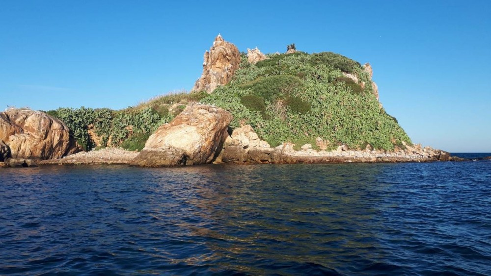 L’ILE DES PISANS - Plages et Ports à Béjaïa — photo 5