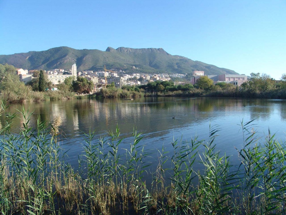 Le Lac Mézaia - Forêts et Natures à Béjaïa — photo 4