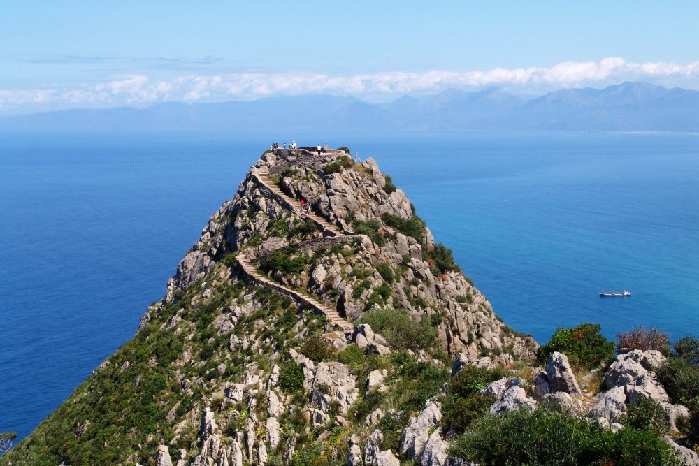 LE PIC DES SINGES - Forêts et Natures à Béjaïa — photo 3