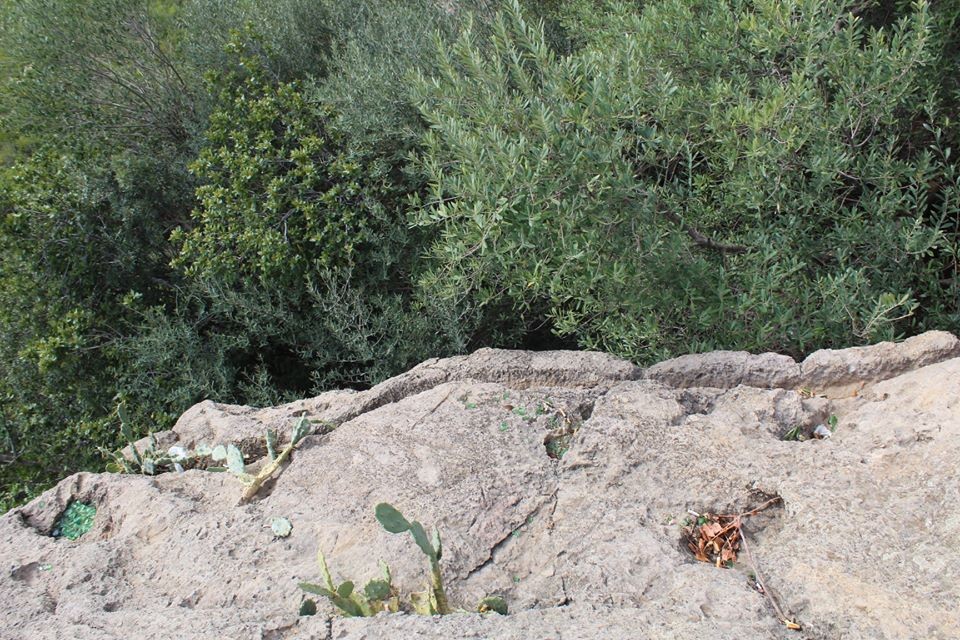 La tombe Phénicienne - Sites Historiques et Monuments à Béjaïa — photo 5