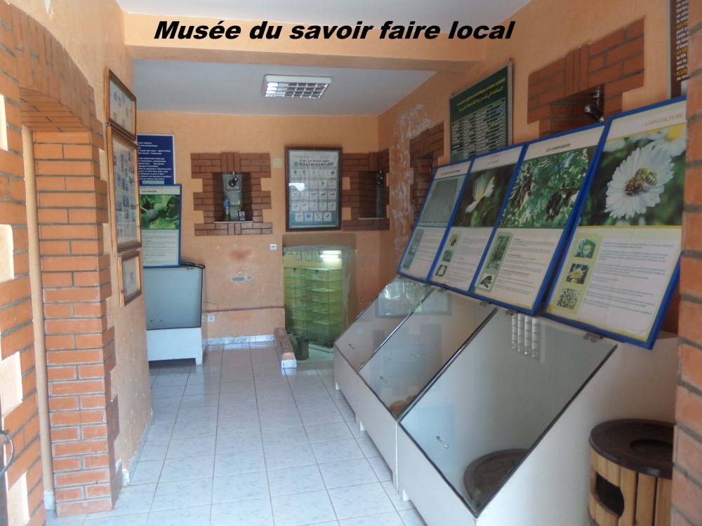 Le musée du savoir faire local - Musées et Galeries d'Art à Béjaïa — photo 6