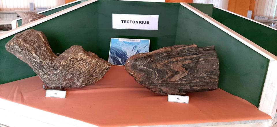 Le musée de géologie du Parc National du Gouraya - Musées et Galeries d'Art à Béjaïa — photo 5