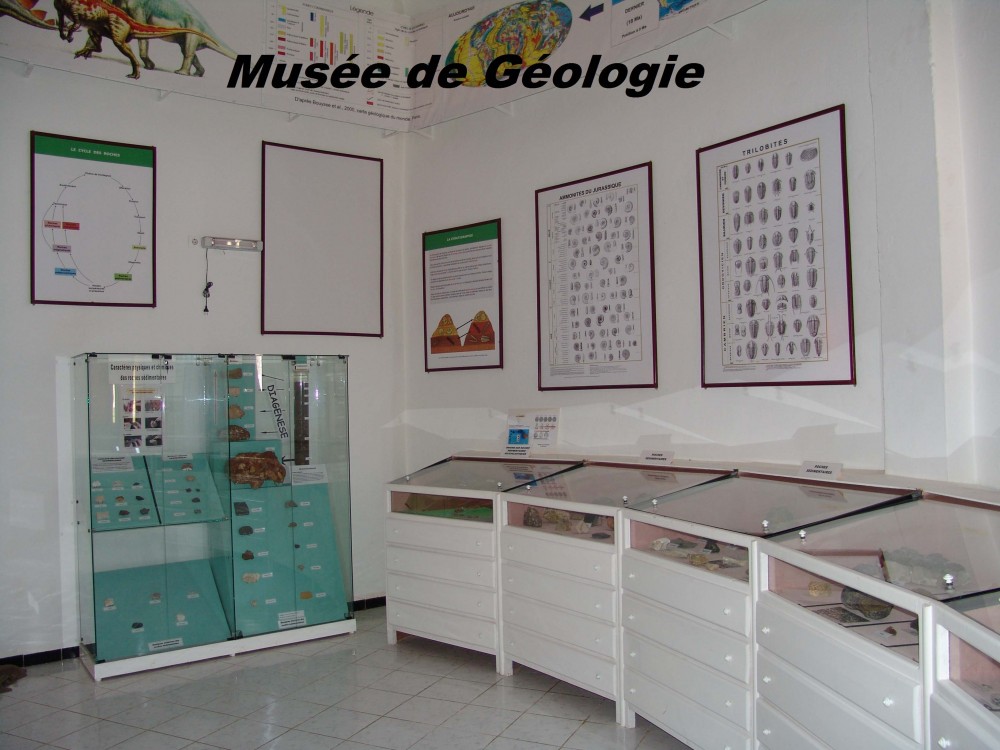 Le musée de géologie du Parc National du Gouraya - Musées et Galeries d'Art à Béjaïa — photo 4