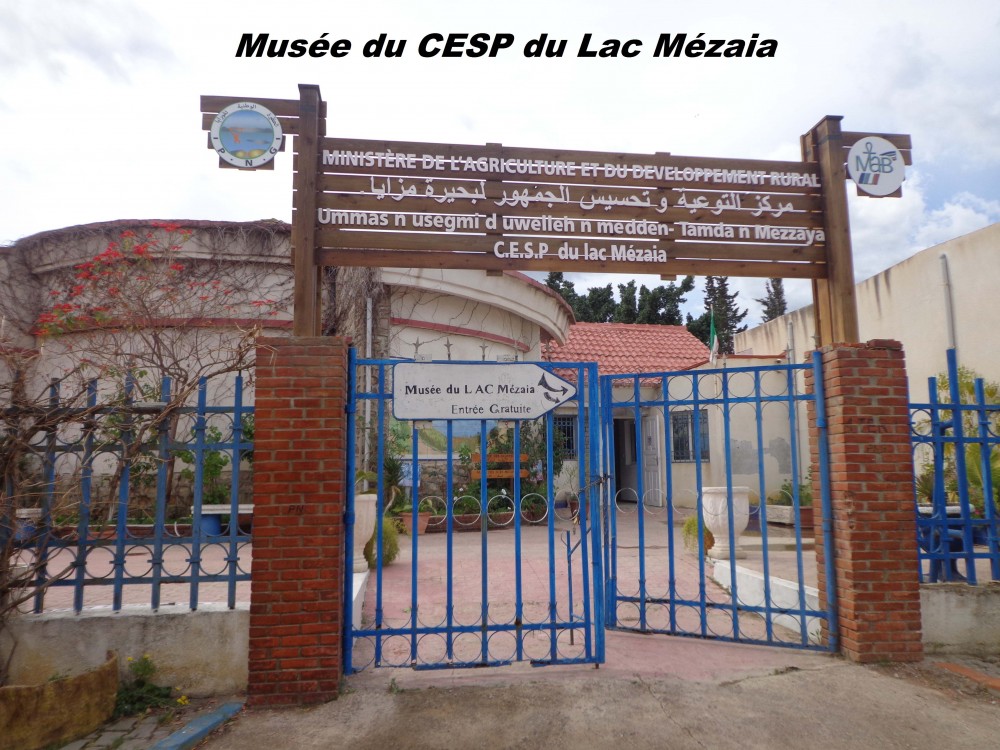 Musée des microsystèmes et du Cycle de l’eau - Musées et Galeries d'Art à Béjaïa — photo 2