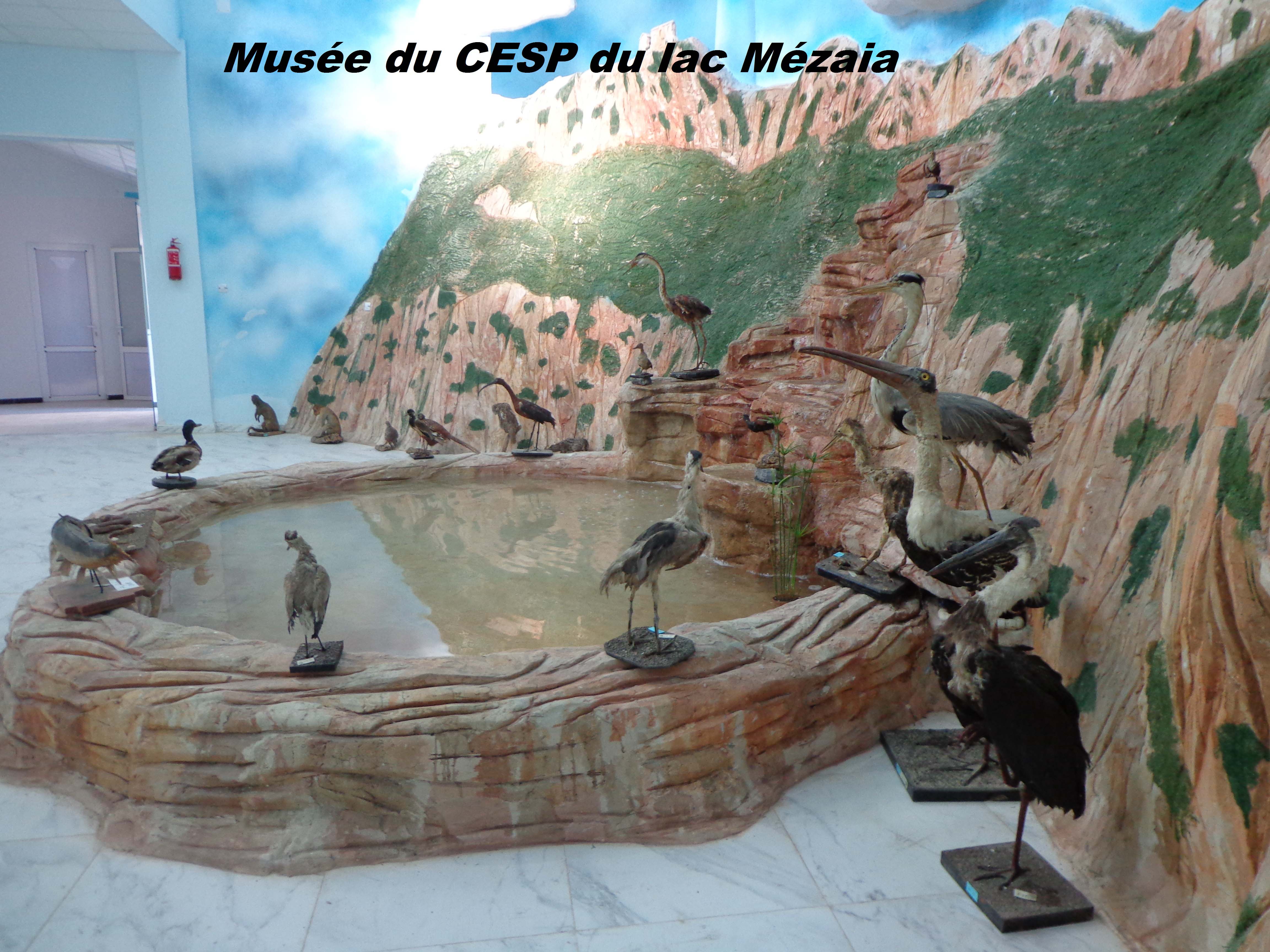 Musée des microsystèmes et du Cycle de l’eau