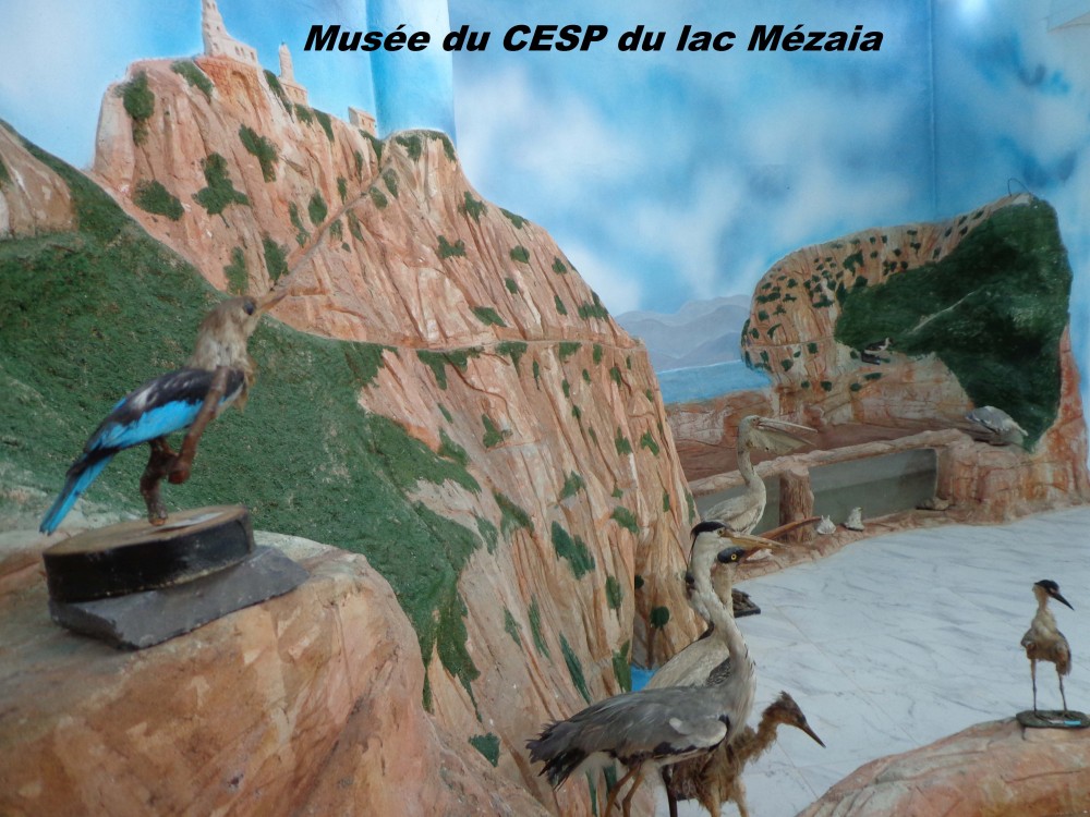 Musée des microsystèmes et du Cycle de l’eau - Musées et Galeries d'Art à Béjaïa — photo 3