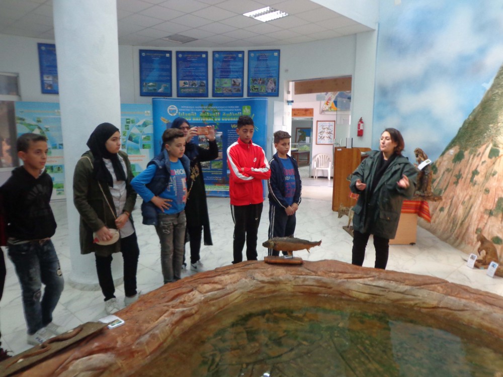 Musée des microsystèmes et du Cycle de l’eau - Musées et Galeries d'Art à Béjaïa — photo 4