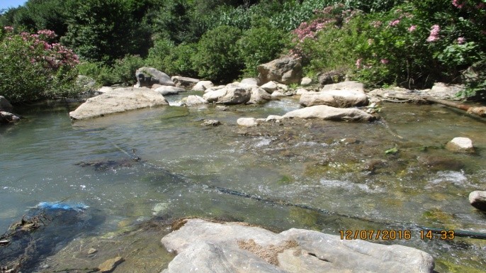 Djbel Tababort - Forêts et Natures à Béjaïa — photo 2