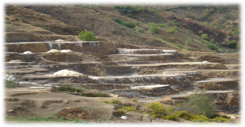 Les Salines « Thimelahines » - Forêts et Natures à Béjaïa — photo 2