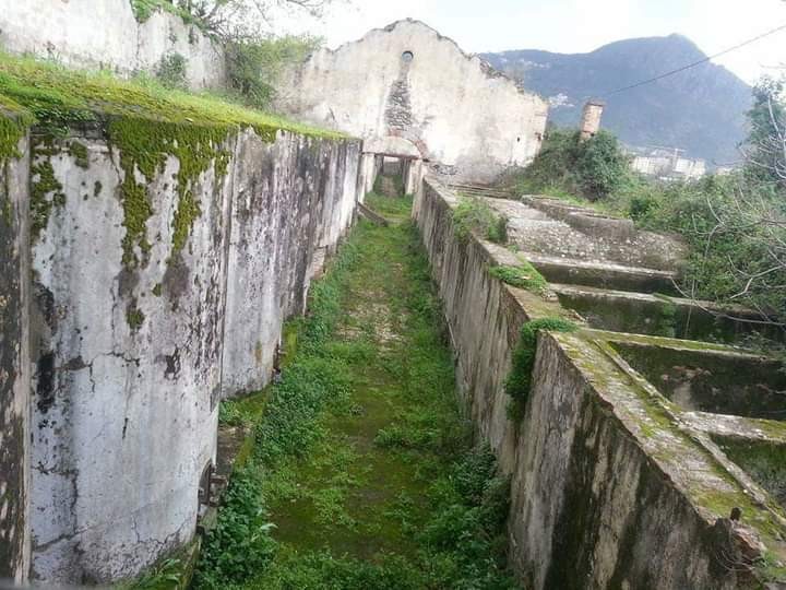 Le camp tourneux