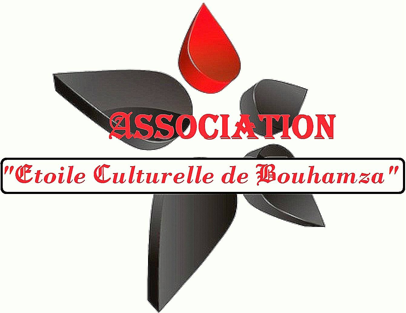 Association Etoile culturelle de Bouhamza