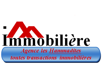 Logo Agence immobiliere Les Hammadites