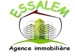Logo Agence immobilière ESSALEM