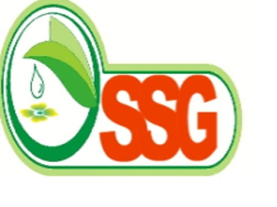 Logo sarl SAvonnerie Gueldamene