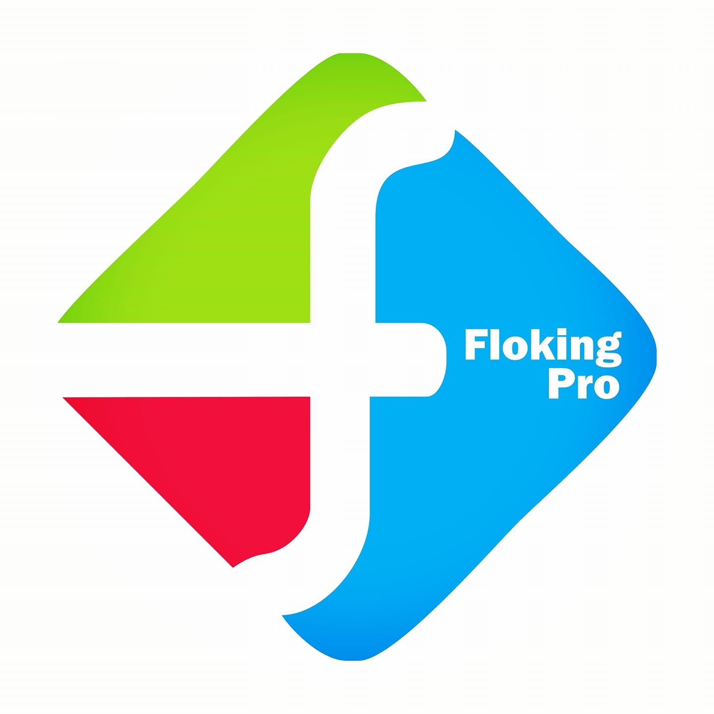 Logo Floking Pro Bejaia
