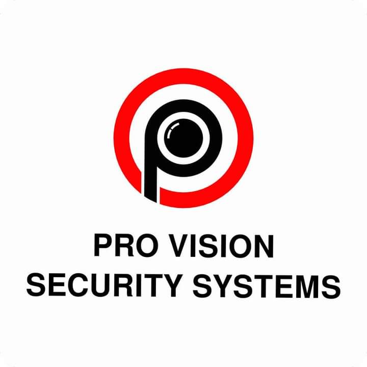 Logo EURL Pro Vision Security Systems